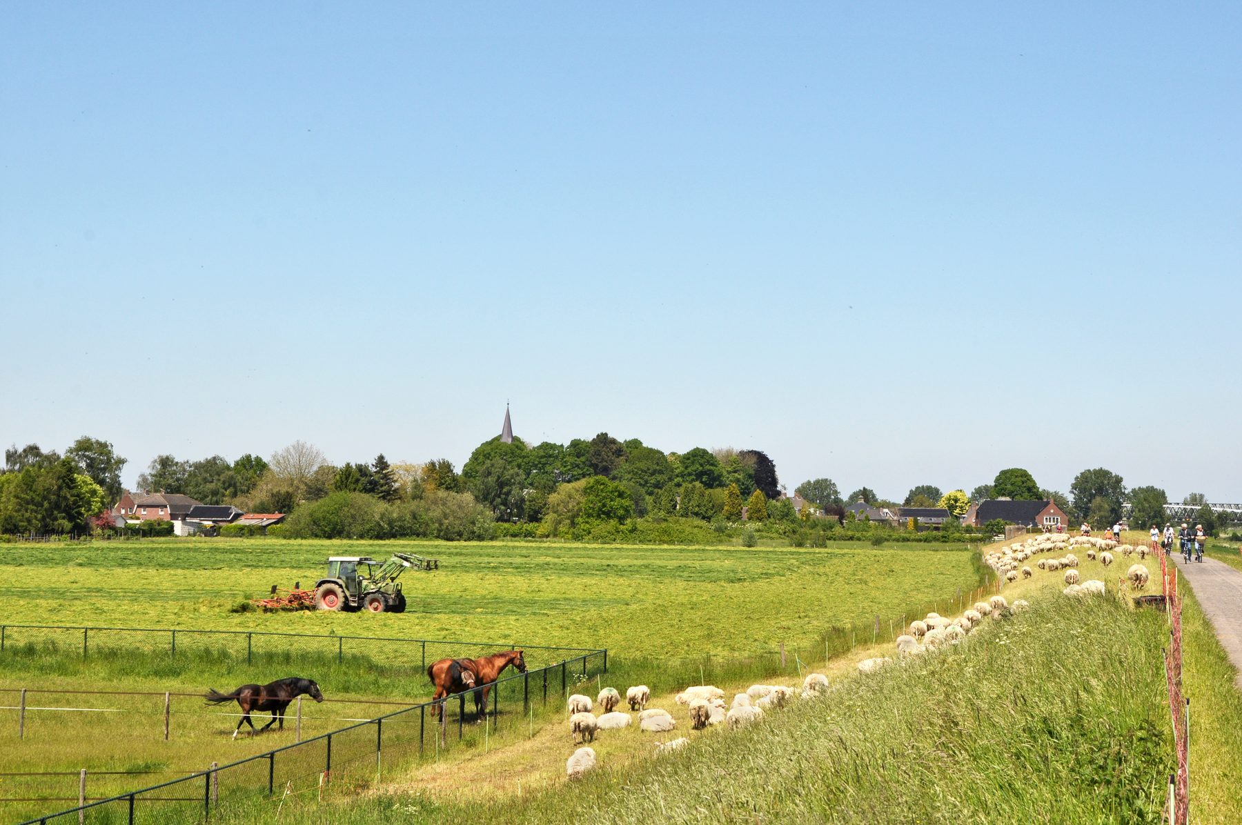 Groen landschap bij het dorpslint van Katwijk met kerktoren
