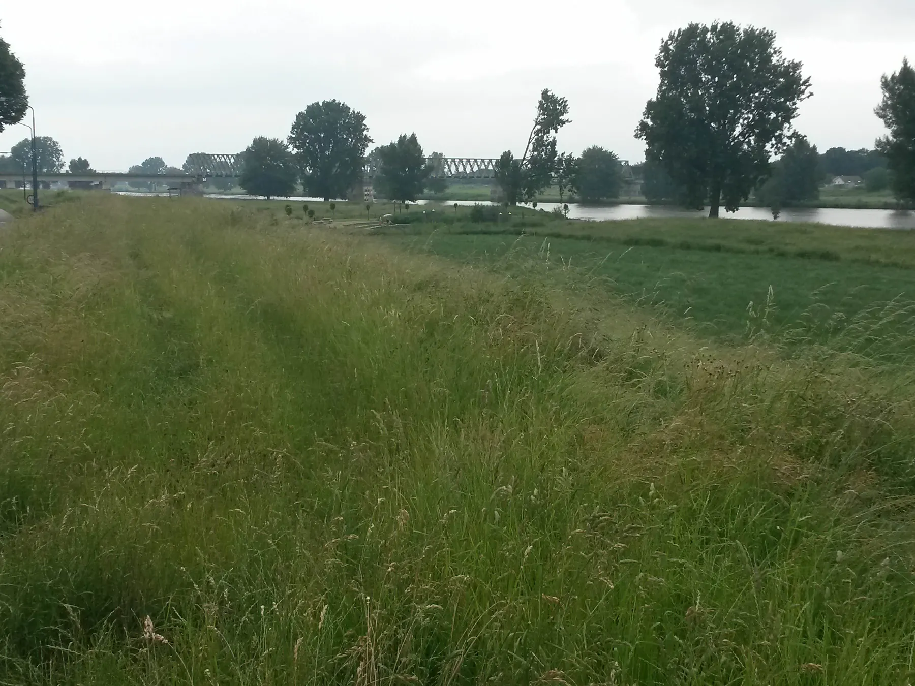 Spoorbrug tussen Katwijk NB en Mook.