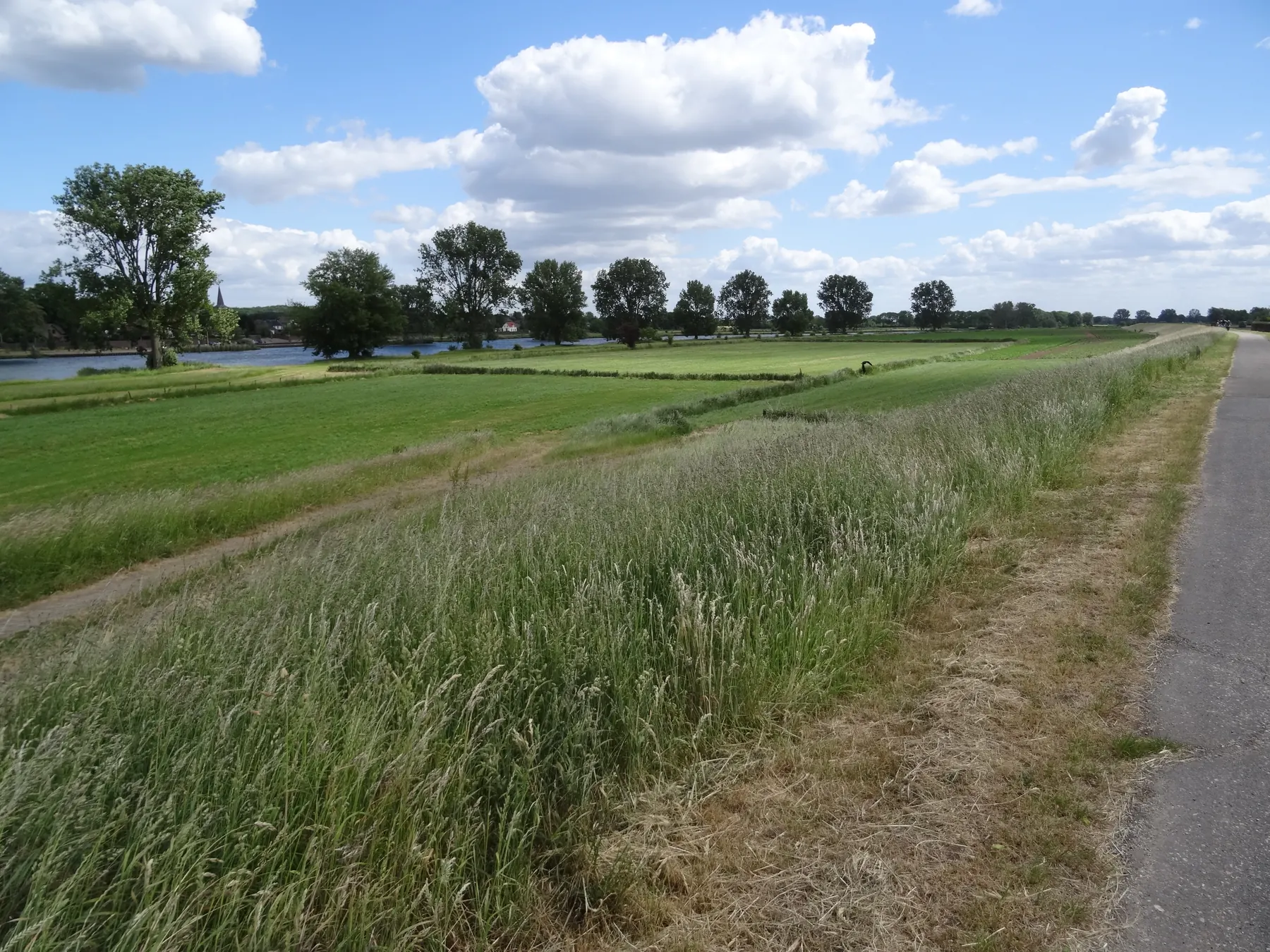 Maasdijk en wandelroute na Katwijk richting Cuijk.