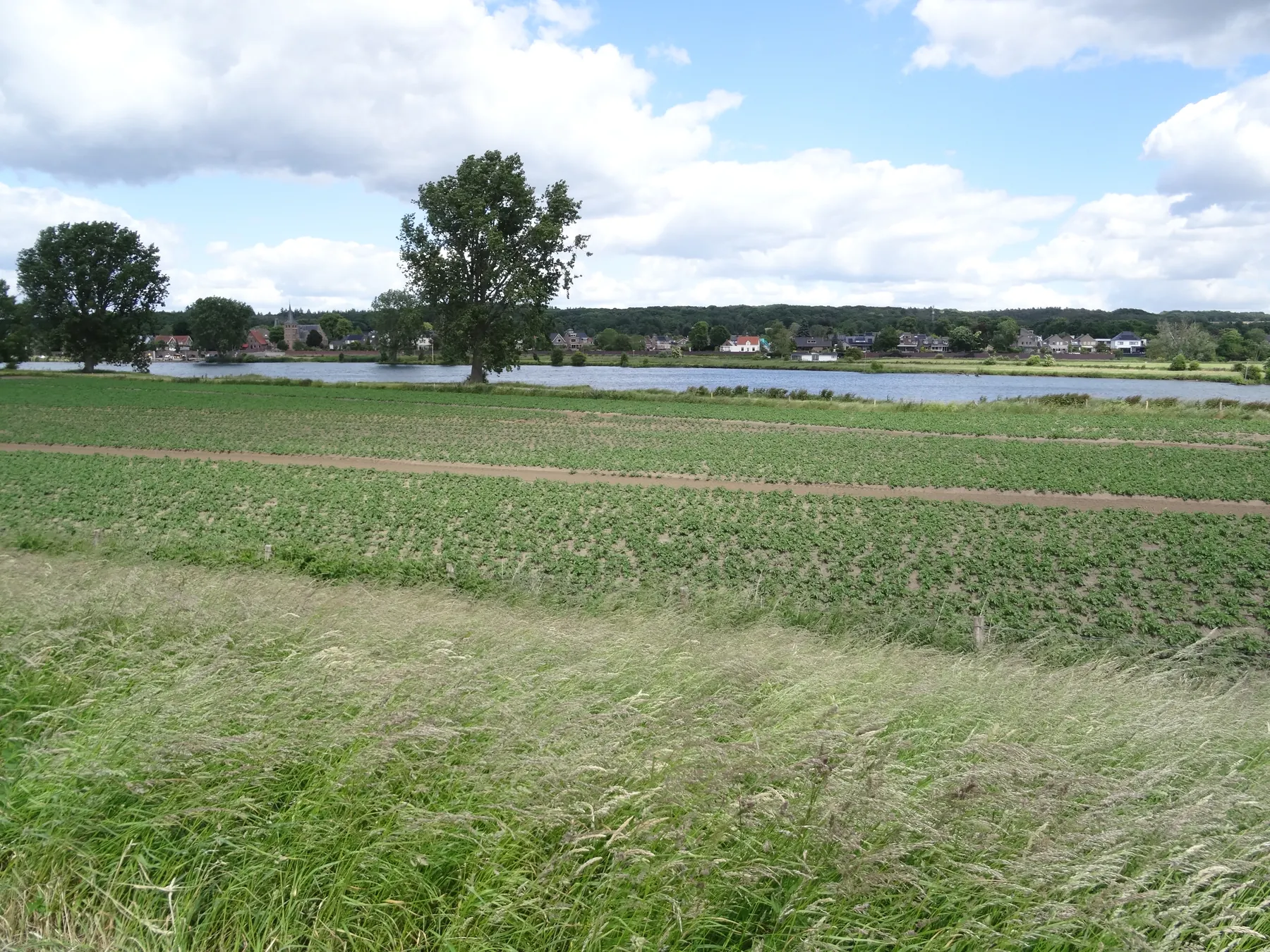 Uitzicht vanuit Katwijk over de Maas naar Mook.